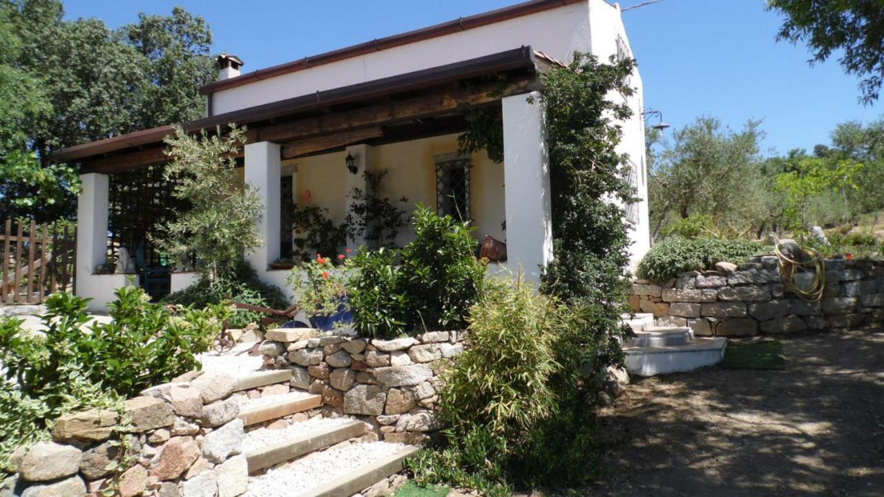 Villa Ferulas Oliena Bagian luar foto